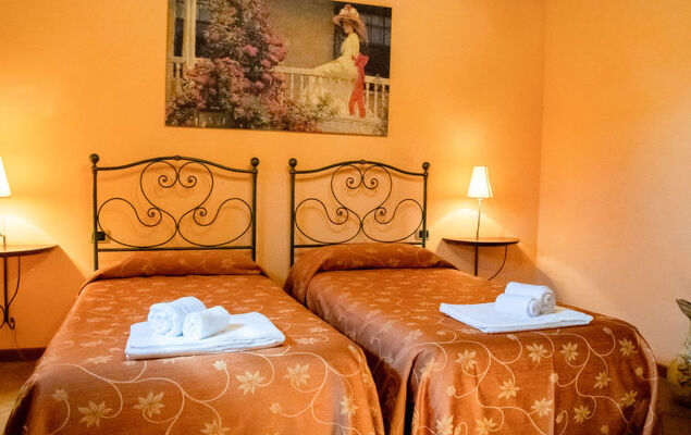 Vineyard View - Photo 23