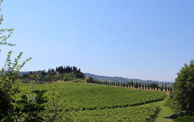Vineyard View - Photo 27