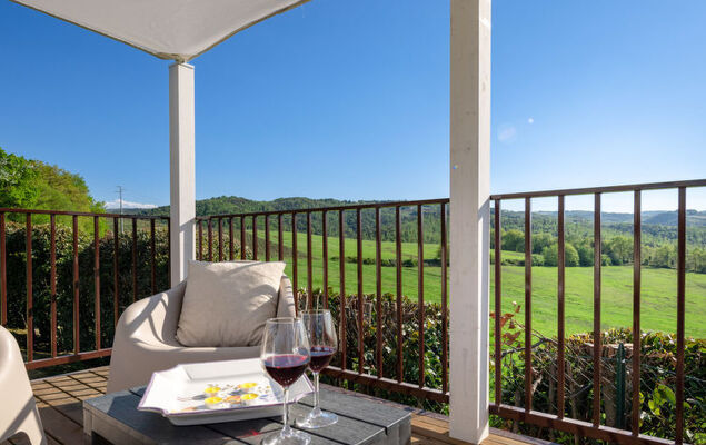 Vineyard View - Photo 30