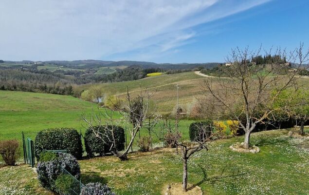 Vineyard View - Photo 38