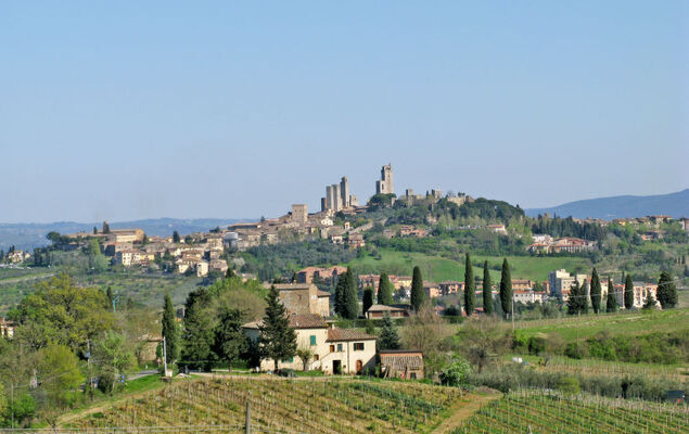 Vineyard View - Photo 39