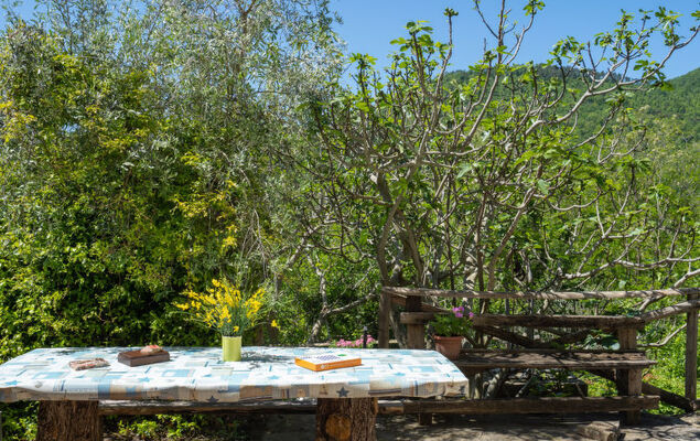 Il Castagneto - Photo 30