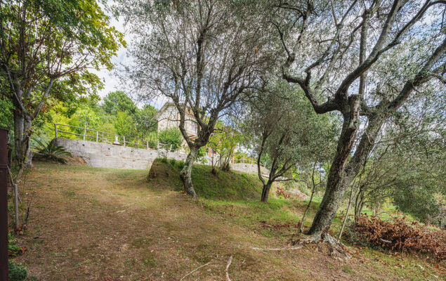 Casa Giulia - Photo 32