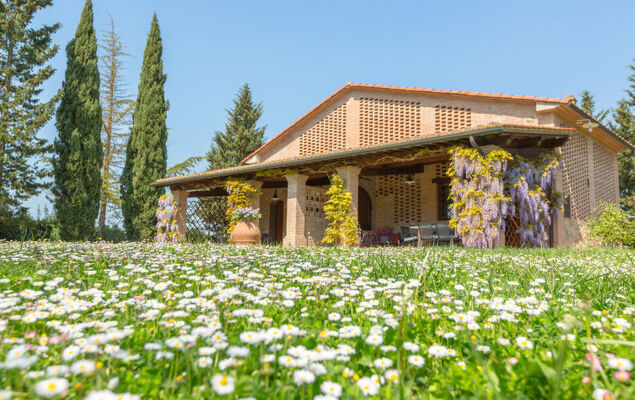 Melograno - Photo 16