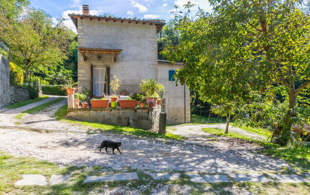 Il Mulinaccio - Photo 2