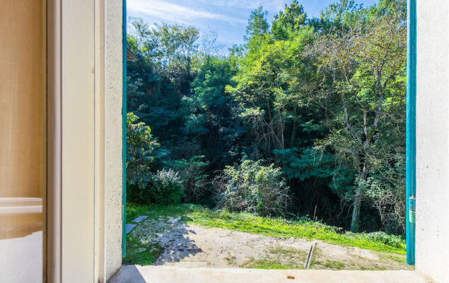 Il Mulinaccio - Photo 14