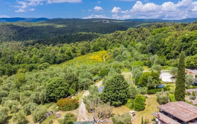 L'Oliviera - Photo 29