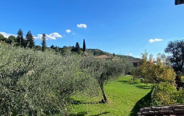 Villa Grassina - Photo 42