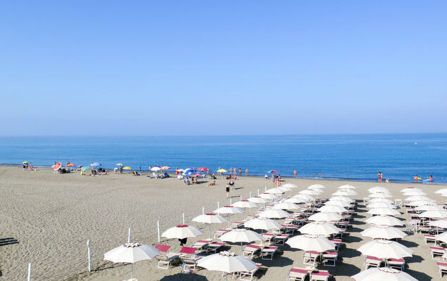 Happy Superior - Photo 22