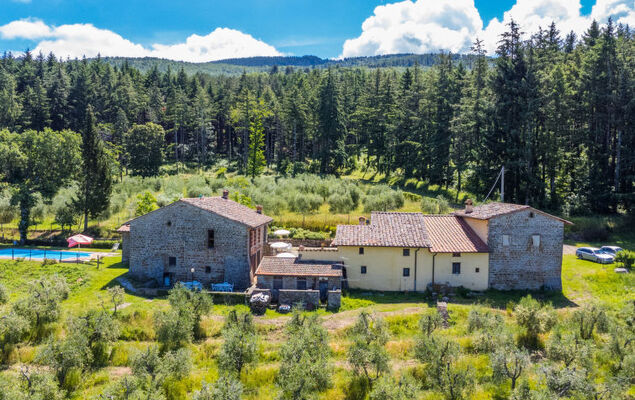 Certina 2 - Photo 32