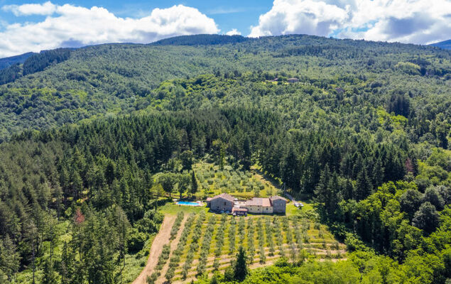 Certina 2 - Photo 40