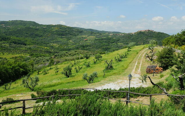 Podere dei Venti - Photo 46