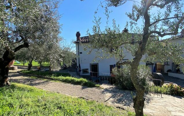 Villa Grassina - Photo 21