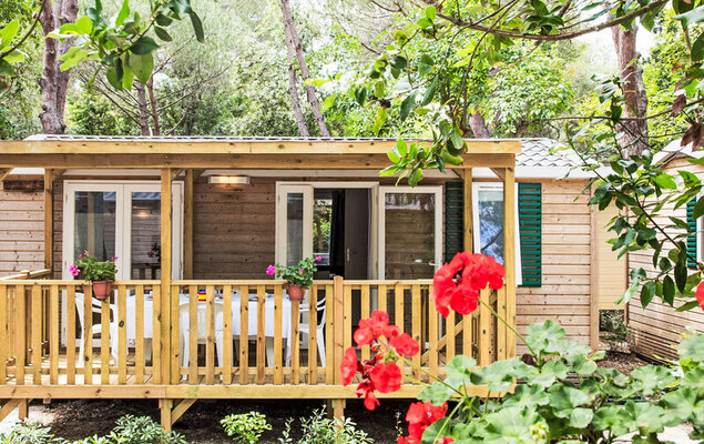 Gineprino - Photo 13