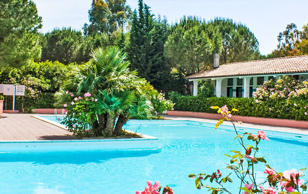 Gineprino - Photo 16