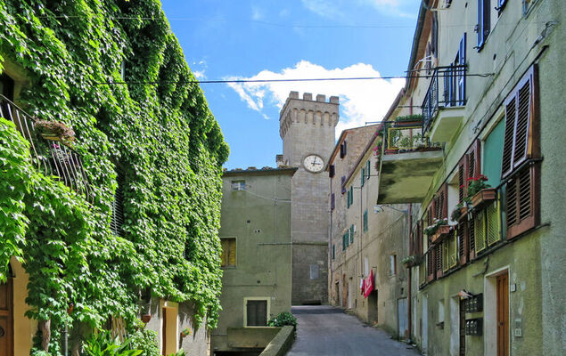 Casa la Selvolina - Photo 33