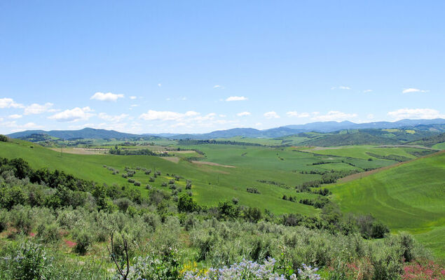 La casa di Emilio II - Photo 30