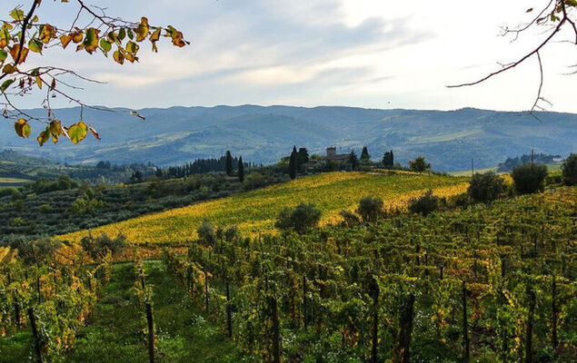 Casa Paolina - Photo 32