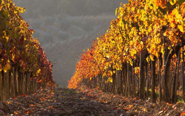 Tipologia Quadrilocale - Photo 71