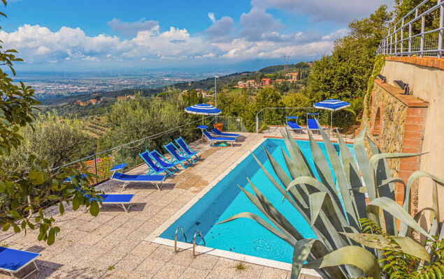 Fiordaliso - Photo 2