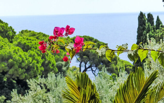 Capo d'Arco - Photo 33