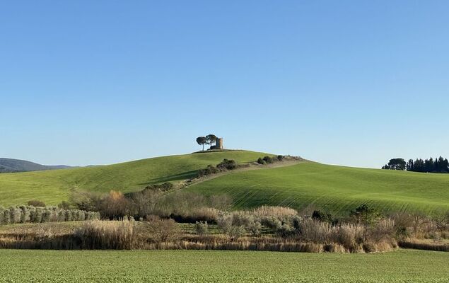 La Stalla - Photo 24