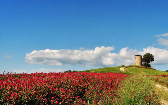 La Stalla - Photo 26