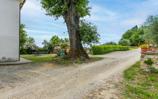 Tipologia Trilo - Photo 60